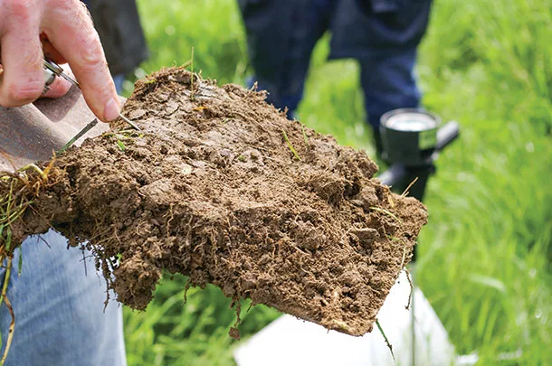 Examining a shovel of soil for healthy attributes