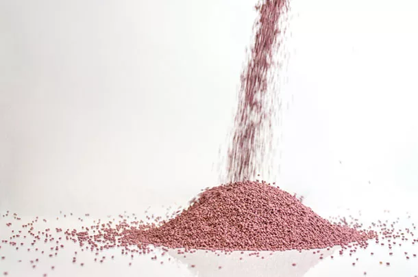 coated seed has special needs