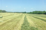 Verner uses poultry litter to fertilize the rye and bermudagrass crops 
