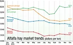 alfalfa market trends