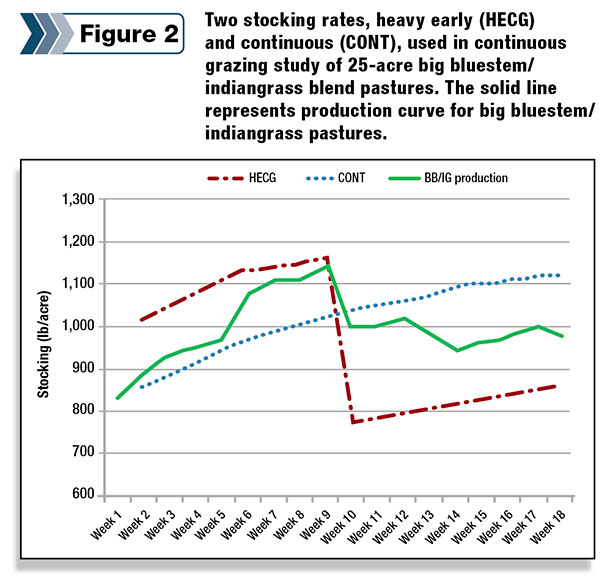 Two stocking rates, heavy early and continuous