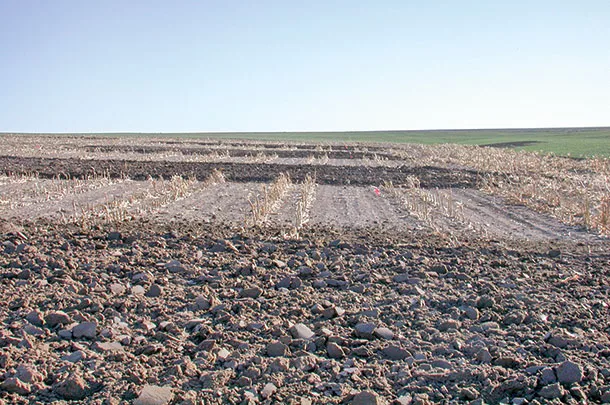 experiment using manure to amend soils