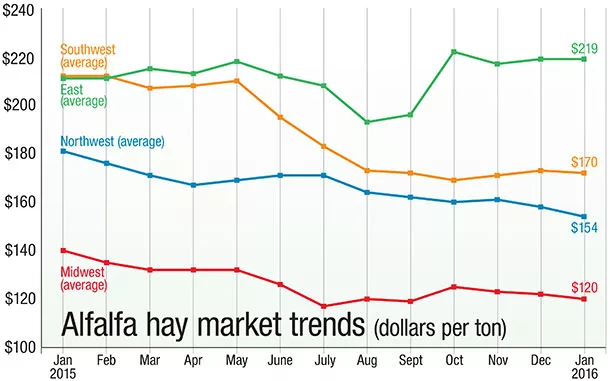 alfalfa market trends