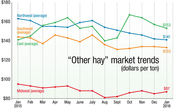 "other hay" market trends