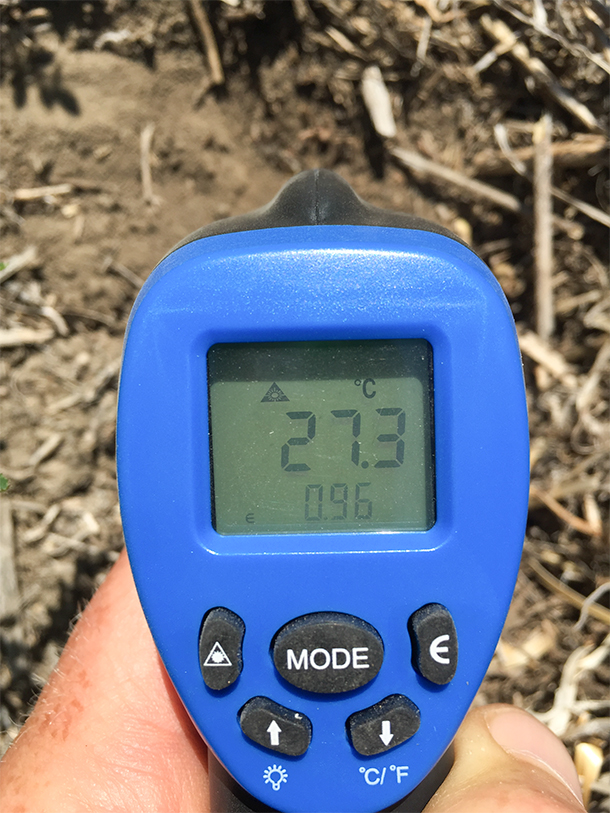 soil temperature