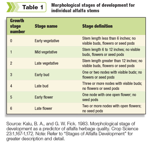 Plant growth stages