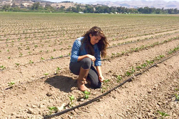 soil check