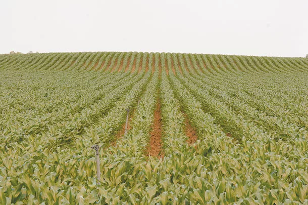 Get the growing season off to a good start