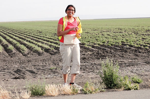 Dr. Sandya Kesoju sampling roadside alfalfa