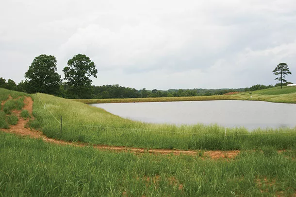 over two miles of fencing keeps cattle from surface water