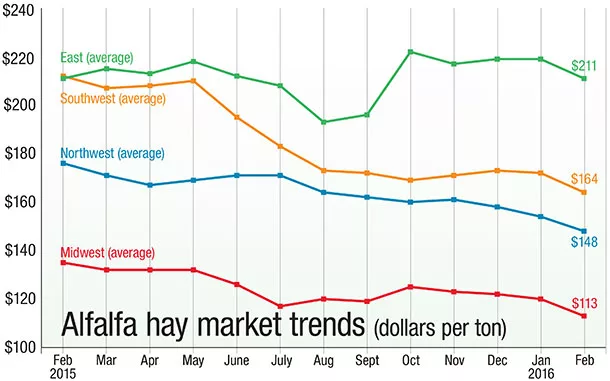 alfalfa market trends