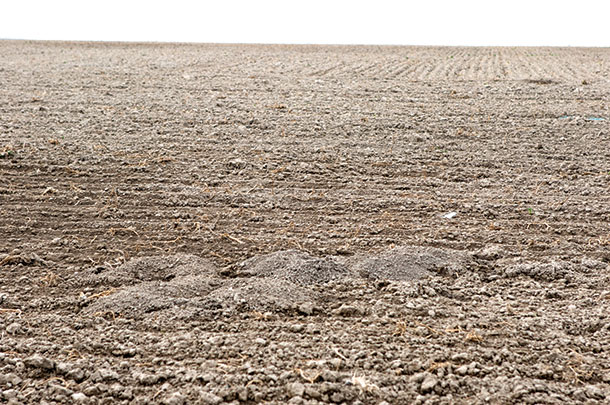Gopher mounds can raise havoc with farm equipment