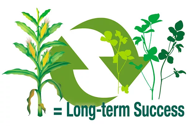 Long term success