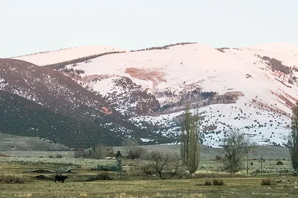 Oakley Valley