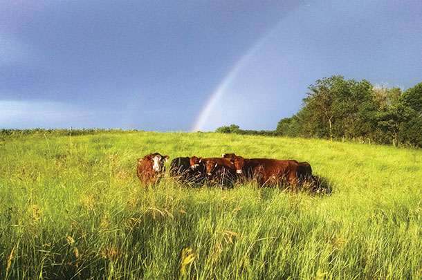 By changing grazing management, water stay on the hills instead of running off