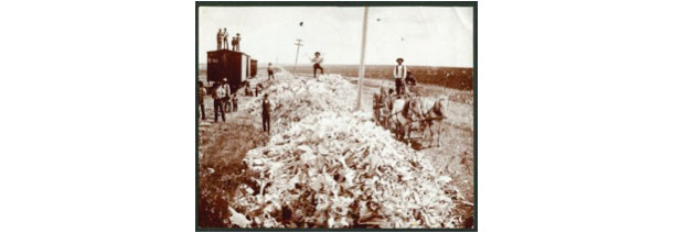 Bones delivered to the nearest collection site