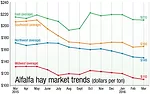 alfalfa market trends