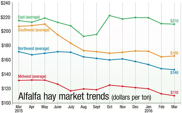 alfalfa market trends