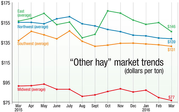 other hay market trends