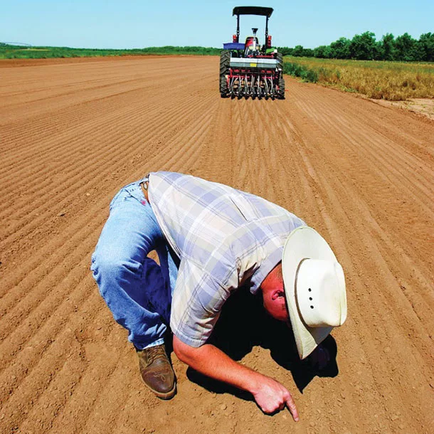 Planting at the right depth