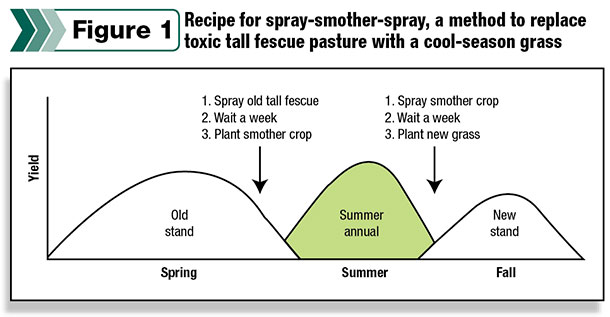 Recipe for spray-smother-spray