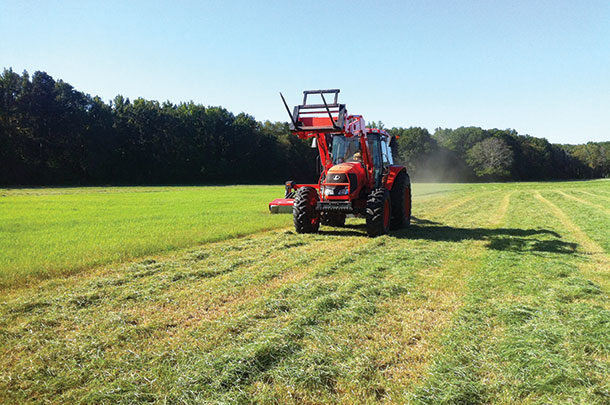 Cutting Tifton 85 hay for horses
