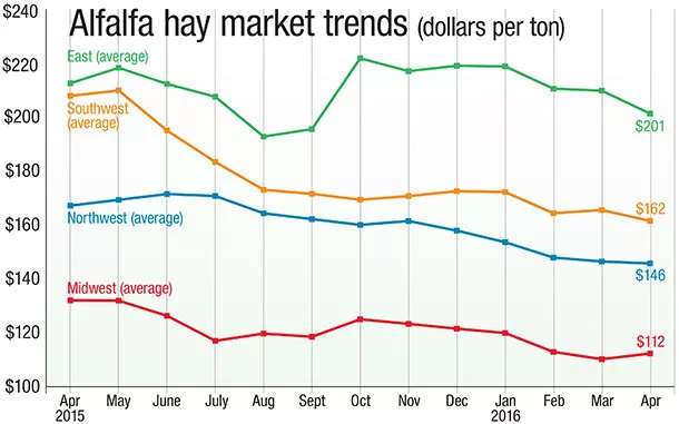 alfalfa market trends