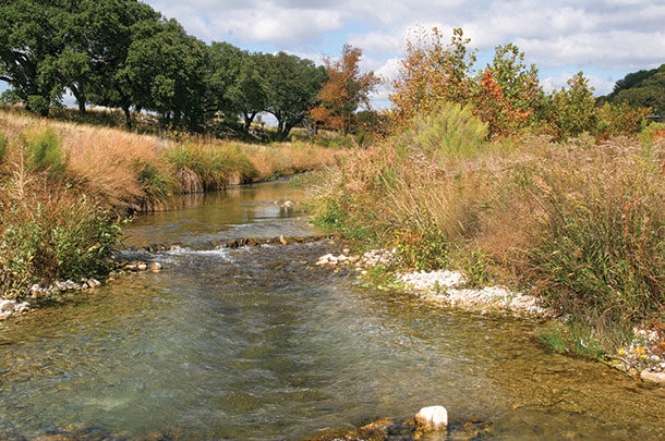 Creek is well-protected by a reparian zone