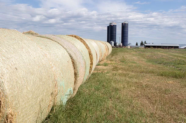 Round bales
