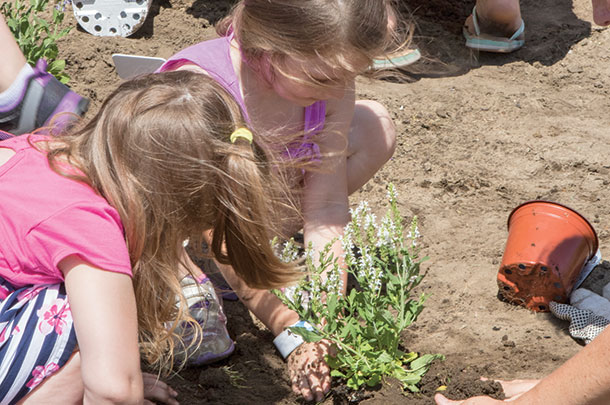 Planting