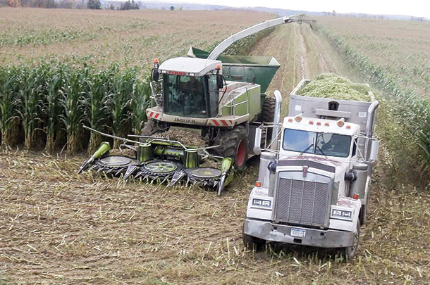850 Claas chopper oufitted with a shredlage processor to get optimal kernel processing