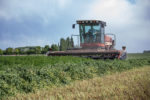 cutting alfalfa field