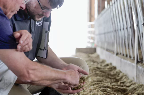 examining feed