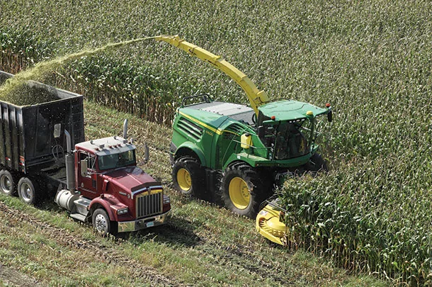 Green chopping corn