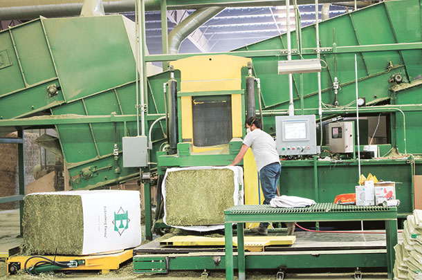 Export hay is packaged in a variety of ways and sizes