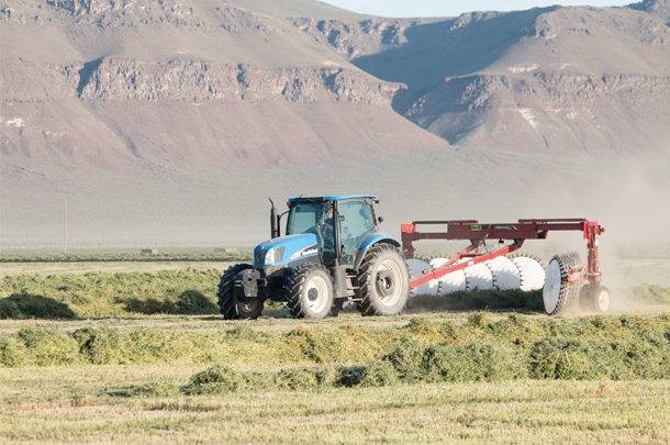 Fall alfalfa cutting management is critical