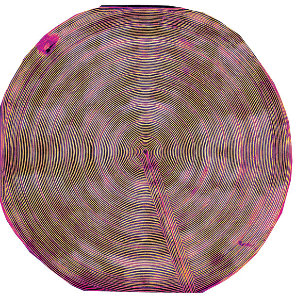 NIR image of an irrigation pivot