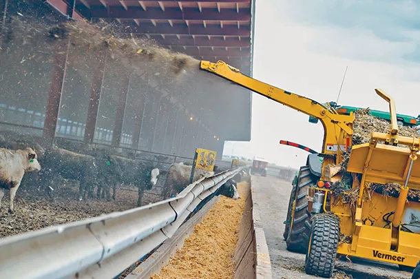 Blowing bedding into shelters using a bale processor