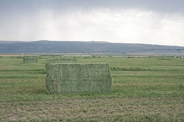 How Many Small Hay Bales Equals One Large Round Bale?