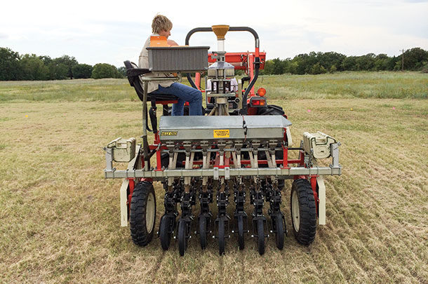 50 cover crop varieties were planted with a no-till drill