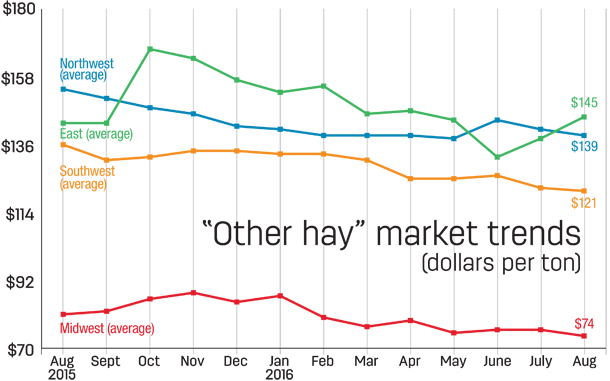 OtherHayMarketTrends