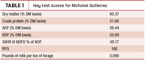 Hay test scores for Nicholas Gutierrez