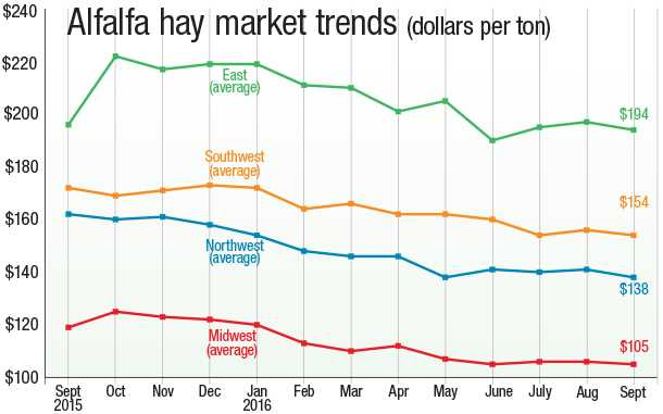 Alfalfa Market Trends
