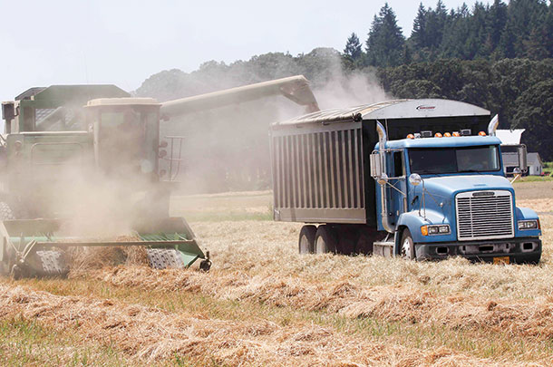 Combining during grass seed harvest