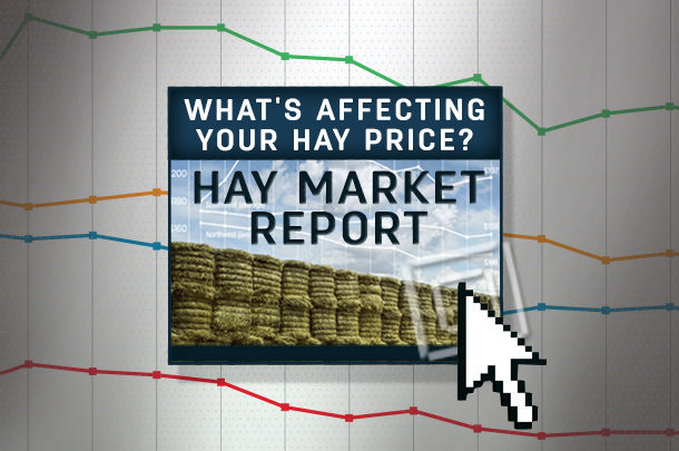 Hay Market Report graphic