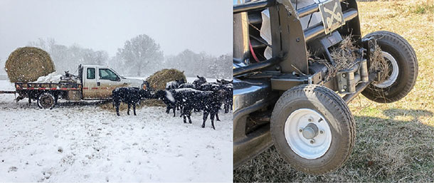One bale unrolled makes it possible for Andy Anderson to feed 400 cows by himself