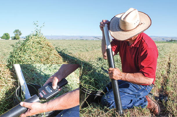 Windrow moisture testing made easy