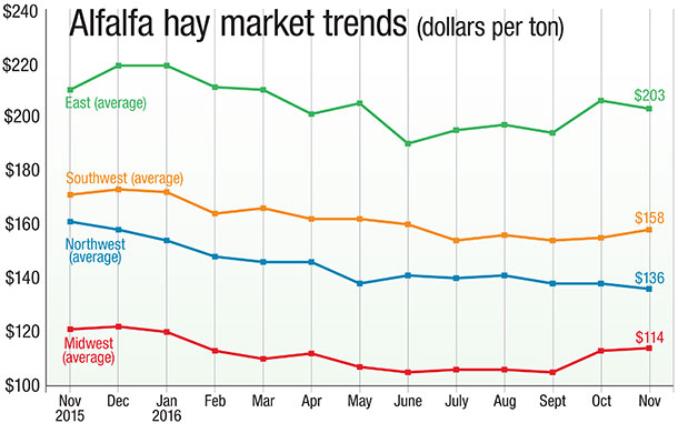 alfalfa market trends