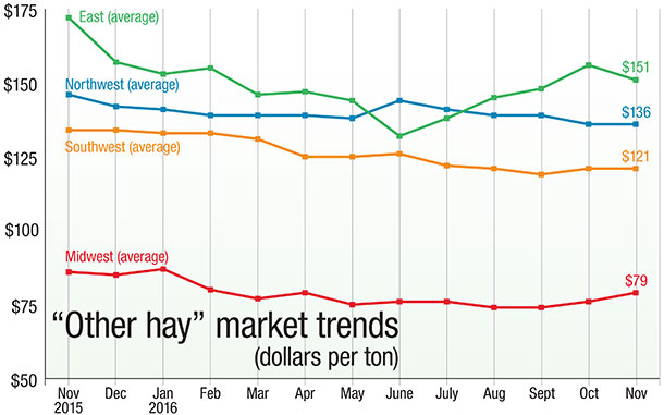 other hay market trends
