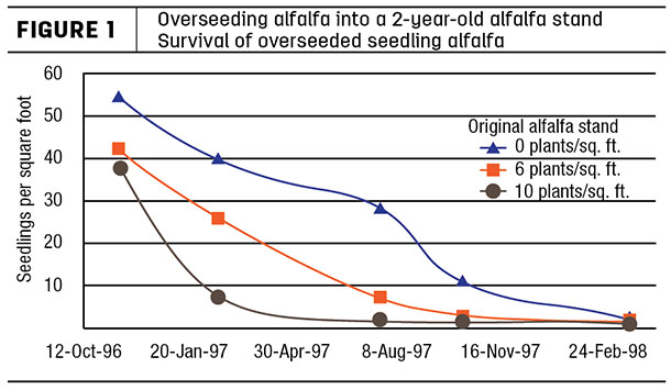 overseeding alfalfa into alfalfa chart